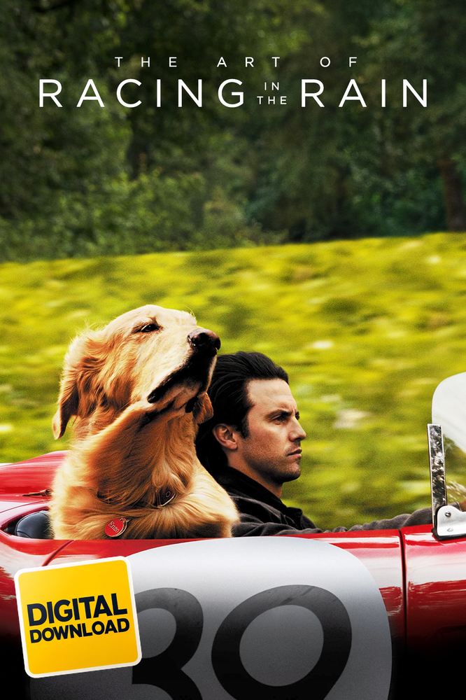 The Art of Racing in the Rain (2019)