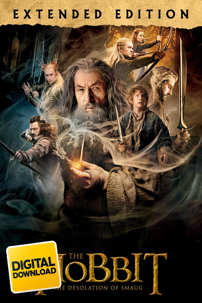 The Hobbit The Desolation of Smaug Extended Edition (2013)